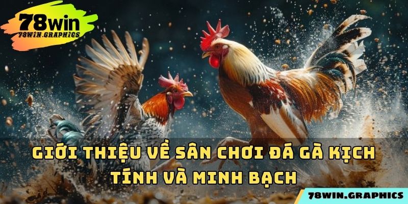Giới thiệu về sân chơi đá gà kịch tính và minh bạch