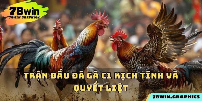 Trận đấu đá gà C1 kịch tính và quyết liệt
